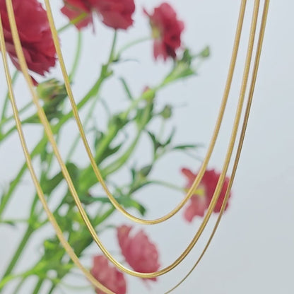 18K Vegas Chain Stainless Steel Snake Hip Hop Jewelry | DAILY DRIPZ